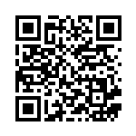 [CP2]C ニャース（伝説キラコレクション 022/027 竜 ）[CP2022] QRコード