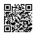 [CP2]C アルセウス（伝説キラコレクション 024/027 無 ）[CP2024] QRコード