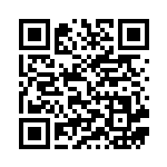 [CP4]コイル（EX×M×BREAK 038/131 雷 ）[CP4038] QRコード