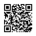 [CP4]ジバコイル（EX×M×BREAK 040/131 雷 ）[CP4040] QRコード