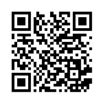 [CP4]スピアーソウルリンク（EX×M×BREAK 113/131 トレーナーズ ポケモンのどうぐ ）[CP4113] QRコード