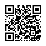 [CP4]クセロシキ（EX×M×BREAK 119/131 トレーナーズ サポート ）[CP4119] QRコード