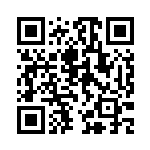 [CP6]RR MカメックスEX（20th Anniversary 022/087 水 ）[CP6022] QRコード