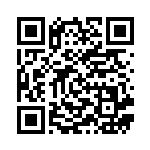 [CP6]C エレブー（20th Anniversary 039/087 雷 ）[CP6039] QRコード