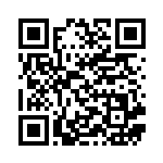 [CP6]U メンテナンス（20th Anniversary 079/087 トレーナーズ グッズ ）[CP6079] QRコード