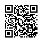 [CP6]U カメックスソウルリンク（20th Anniversary 080/087 トレーナーズ ポケモンのどうぐ ）[CP6080] QRコード