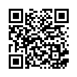 [EBB]ビクティニEX（EXバトルブースト 016/093 炎 ）[EBB016] QRコード