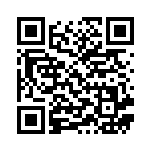 [EBB]イマクニ?（EXバトルブースト 096/093 トレーナーズ サポート ）[EBB096] QRコード