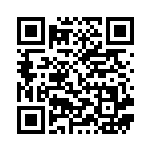 [GBR]ハイパーボール（デッキ30 010/017 グッズ トレーナーズ ）[GBR010] QRコード