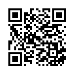 [L2]★ ロトム（頂上大激突 021/080 雷 ポケモン ）[L2021] QRコード