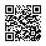 [L2]◆ ふしぎなアメ（頂上大激突 071/080 グッズ トレーナーズ ）[L2071] QRコード