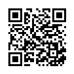 [L2]★ アルフの石版（頂上大激突 081/080 グッズ トレーナーズ ）[L2081] QRコード