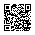 [L2]特殊悪エネルギー（スタンダードデッキ 019/019 悪 エネルギー ）[L2b019] QRコード