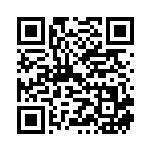 [L3]★ アルフの石版（頂上大激突 081/080 グッズ トレーナーズ ）[L3081] QRコード