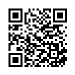 [LL]● ミニリュウ（頂上大激突 029/080 無 ポケモン ）[LL029] QRコード