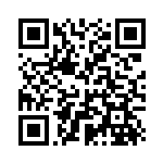 [M1L029]RR メガルカリオex（メガブレイブ 029/063 Iレギュ）[M1L029] QRコード