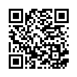 [M1L080]SR メガクチートex（メガブレイブ 080/063 Iレギュ）[M1L080] QRコード