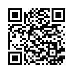 [M1S063]U ミステリーガーデン（メガシンフォニア 063/063 トレーナーズ Iレギュ）[M1S063] QRコード