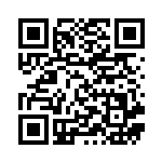 [M1S069]AR インテレオン（メガシンフォニア 069/063 Iレギュ）[M1S069] QRコード