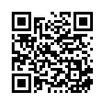 [M2]RR ロトムex（インフェルノX 029/080 Iレギュ）[M2029] QRコード