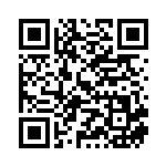 [M2]AR ルンパッパ（インフェルノX 081/080 Iレギュ）[M2081] QRコード