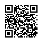 [M2]SR ロトムex（インフェルノX 096/080 Iレギュ）[M2096] QRコード