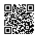 [M2]SR エンペルトex（インフェルノX 099/080 Iレギュ）[M2099] QRコード