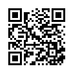 [M2]SR メガミミロップex（インフェルノX 100/080 Iレギュ）[M2100] QRコード