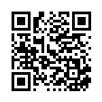 [M2]SAR メガミミロップex（インフェルノX 114/080 Iレギュ）[M2114] QRコード