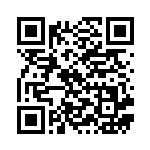 [M2a]RR オーガポンみどりのめんex（MEGAドリームex 017/193 ）[M2a017] QRコード