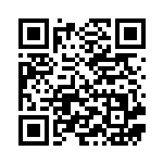 [M2a]RR ヒビキのホウオウex（MEGAドリームex 021/193 ）[M2a021] QRコード