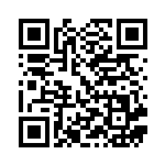 [M2a]ポカブ（MEGAドリームex 024/193 ）[M2a024] QRコード