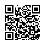 [M2a]Nのダルマッカ（MEGAドリームex 027/193 ）[M2a027] QRコード