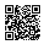 [M2a]ナンジャモのズピカ（MEGAドリームex 056/193 ）[M2a056] QRコード