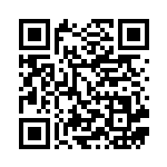 [M2a]RR リーリエのピッピex（MEGAドリームex 060/193 ）[M2a060] QRコード