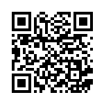 [M2a]RR ロケット団のミュウツーex（MEGAドリームex 063/193 ）[M2a063] QRコード