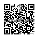 [M2a]ヨノワール（MEGAドリームex 074/193 ボール柄）[M2a074] QRコード