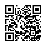 [M2a]レイスポス（MEGAドリームex 080/193 ）[M2a080] QRコード