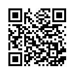 [M2a]RR メガルチャブルex（MEGAドリームex 094/193 ）[M2a094] QRコード