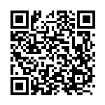 [M2a]ガラルマッスグマ（MEGAドリームex 106/193 エネルギー柄）[M2a106] QRコード