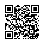 [M2a]RR メガズルズキンex（MEGAドリームex 110/193 ）[M2a110] QRコード