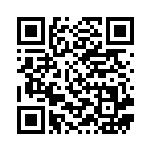 [M2a]Nのゾロア（MEGAドリームex 111/193 ）[M2a111] QRコード