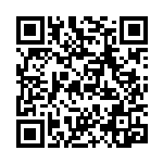 [M2a]Nのゾロア（MEGAドリームex 111/193 ボール柄）[M2a111] QRコード