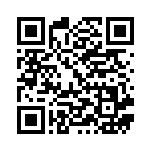 [M2a]RR キチキギスex（MEGAドリームex 114/193 ）[M2a114] QRコード