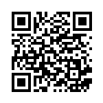 [M2a]ホップのバッグ（MEGAドリームex 156/193 トレーナーズ ）[M2a156] QRコード