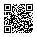 [M2a]ヒビキの冒険（MEGAドリームex 174/193 トレーナーズ ）[M2a174] QRコード