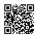 [M2a]Nの城（MEGAドリームex 181/193 トレーナーズ ）[M2a181] QRコード