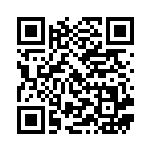 [M2a]AR チャーレム（MEGAドリームex 207/193 ）[M2a207] QRコード