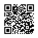 [M2a]AR スピンロトム（MEGAドリームex 213/193 ）[M2a213] QRコード