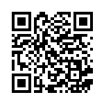 [M2a]SAR アイリスの闘志（MEGAドリームex 247/193 トレーナーズ ）[M2a247] QRコード